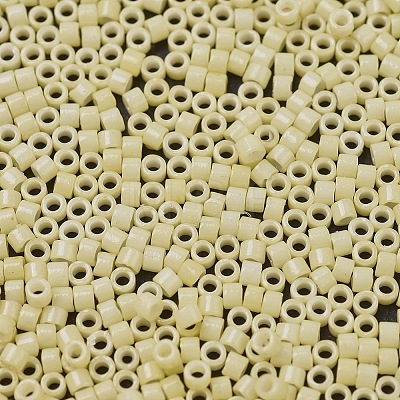 MIYUKI Delica Beads X-SEED-J020-DB2101-1