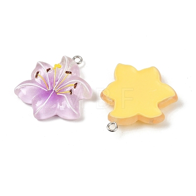 Resin Pendants RESI-D016-04B-1
