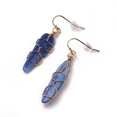 Natural Kyanite Dangle Earrings EJEW-F228-B01-1