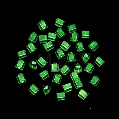 FGB Grade A Frosted Glass Seed Beads SEED-Q040-04A-08-1