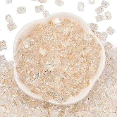 Transparent Spray Painted Glass Seed Beads SEED-L011-10A-05-1