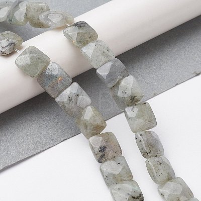 Natural Labradorite Beads Strands G-K359-B17-01-1