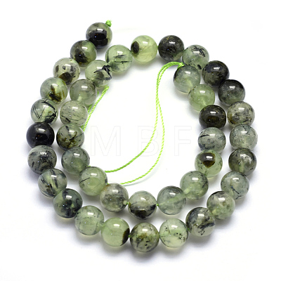 Natural Prehnite Beads Strands G-K224-03-10mm-1