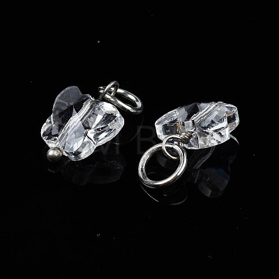 Faceted Transparent Glass Charms GLAA-T024-06M-1