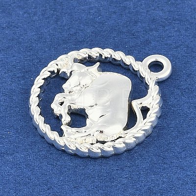 Twelve Constellations Alloy Pendants PALLOY-Q006-01I-S-1