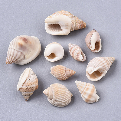 Natural Spiral Shell Beads SSHEL-S258-77-1