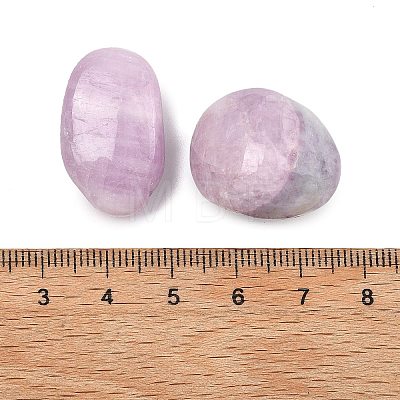 Natural Kunzite Beads G-G348-01A-15-1