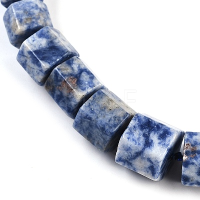 Natural Blue Spot Jasper Hexagon Prism Graduated Beaded Necklaces for Women Men NJEW-K388-03C-1