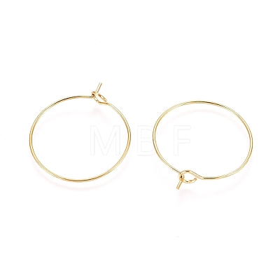 Ion Plating(IP) 316L Surgical Stainless Steel Hoop Earring Findings STAS-D164-02G-A-1