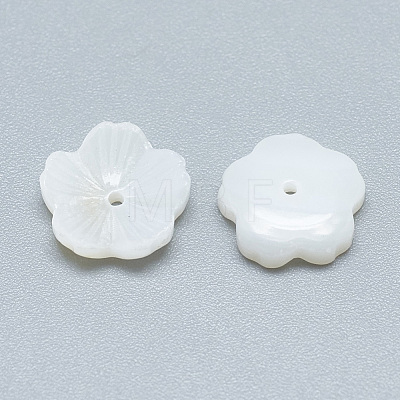 Freshwater Shell Beads SHEL-S275-018-1