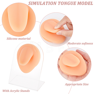 Soft Silicone Tongue Flexible Model Body Part Displays with Acrylic Stands ODIS-WH0002-23-1