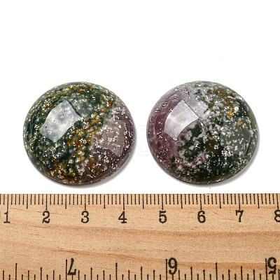Natural Indian Agate Cabochons G-C115-02B-09-1