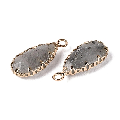 Natural Labradorite Faceted Pendants G-Q606-104G-04-1