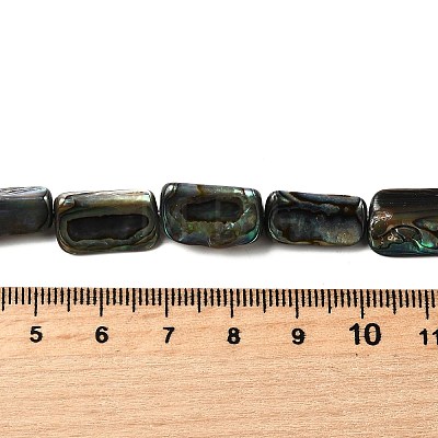 Natural Abalone Shell/Paua Shell Beads Strands BSHE-D300-01B-1