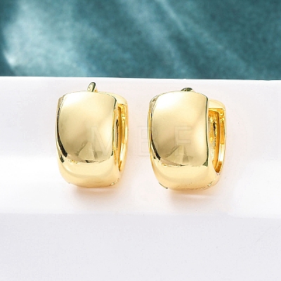 Brass Hoop Earrings EJEW-Q015-21C-G-1