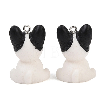 Opaque Resin Pendants LS-RESI-XCP0002-36-1