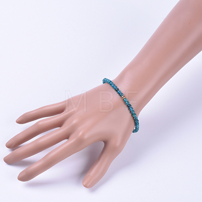 Natural Apatite Stretch Bracelets BJEW-JB04556-02-1