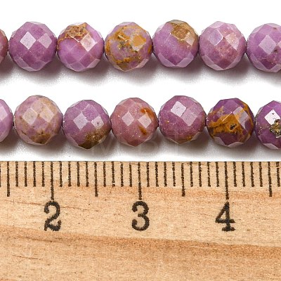 Natural Lepidolite/Purple Mica Stone Beads Strands G-NH0011-A01-04-1