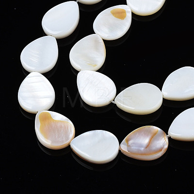 Natural Freshwater Shell Beads Strands SHEL-S278-068-1