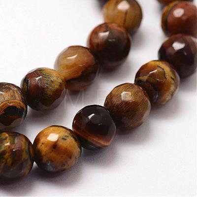 Faceted Natural Tiger Eye Beads Strands G-F364-04-8mm-1