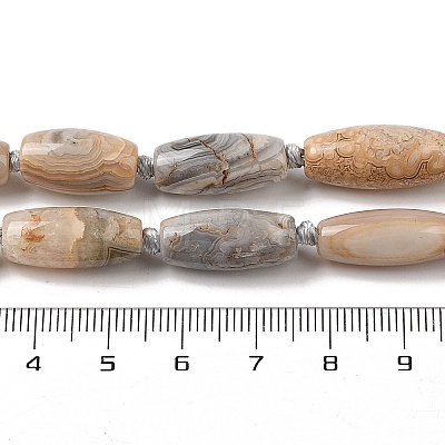 Natural Mexican Lace Agate Beads Strands G-NH0010-I03-01-1