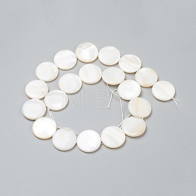 Natural Freshwater Shell Beads X-BSHE-I011-01A-02-1
