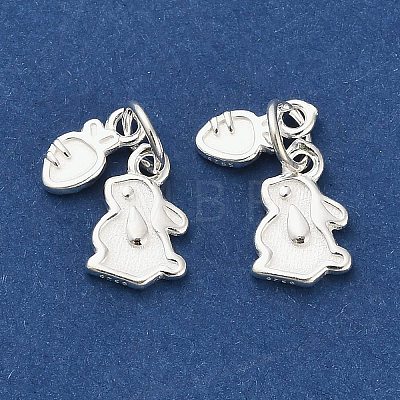 Easter 925 Sterling Silver Rabbit and Carrot Charms STER-P071-04S-1