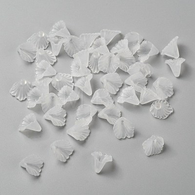 Transparent Acrylic Beads X-PL622-9-1