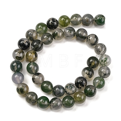 Natural Moss Agate Beads Strands G-J358-01-10MM-1