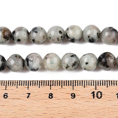 Natural Sesame Jasper/Kiwi Jasper Bead Strands G-R345-8mm-36-1