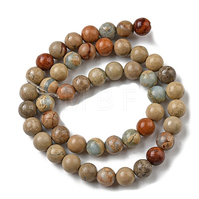 Natural Aqua Terra Jasper Beads Strands G-E444-14B-8mm-1