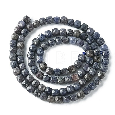 Natural Sapphire Beads Strands G-748-N01-1