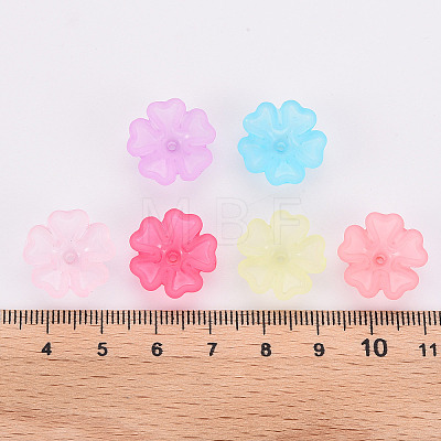 Transparent Frosted Acrylic Bead Caps X-MACR-S371-04A-1