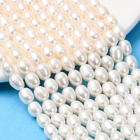 Natural Cultured Freshwater Pearl Beads Strands PEAR-F020-01B-1