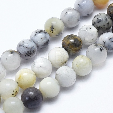 Natural White African Opal Beads Strands G-E472-02-10mm-1