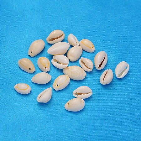 Natural Cowrie Shell Beads X-BSHE-S055-1