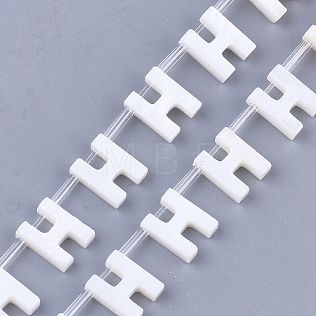 Natural Freshwater Shell Beads SHEL-T012-59H-1