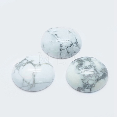 Natural Howlite Cabochons G-G760-B01-02-1