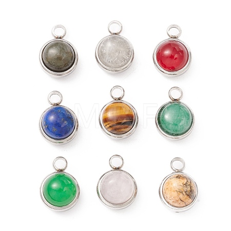 Natural Mixed Stone Charms G-K325-01P-1