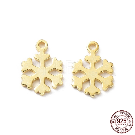 925 Sterling Silver Charms STER-C003-18G-1