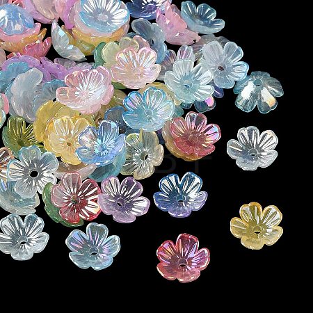 Acrylic Bead Caps OACR-G057-01B-1