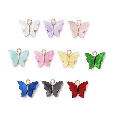 Alloy Acrylic Pendants X-ENAM-R136-01-1
