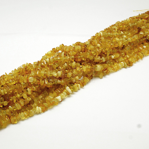 Natural Amber Chip Beads Strands X-G-E333-01B-1