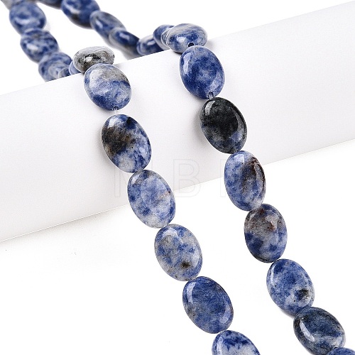 Natural Blue Spot Jasper Beads Strands G-M206-40-1