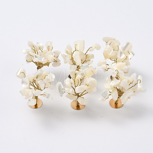 Natural White Shell Mother of Pearl Shell Chips Display Decorations G-Z016-13A-1