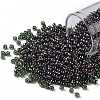 TOHO Round Seed Beads SEED-JPTR08-0326-1