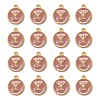 Golden Plated Alloy Enamel Charms X-ENAM-S118-07Y-2