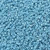 MIYUKI Delica Beads SEED-MY11-DB0217-3