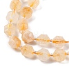 Natural Citrine Beads Strands G-C171-D02-01-4