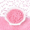 FGB Frosted Transparent Glass Seed Beads SEED-N013-06A-05-2